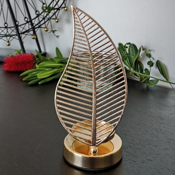 Palme – Image 6