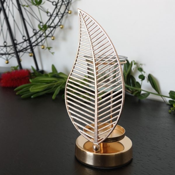 Palme – Image 8