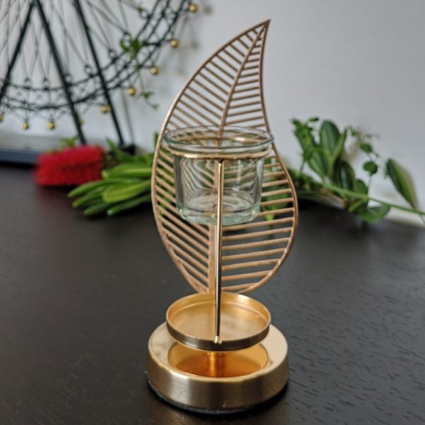Palme – Image 9