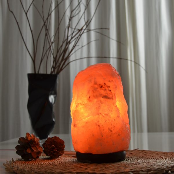 Lampe en Cristal de Sel d'Himalaya de 4 à 6 kg – Image 9