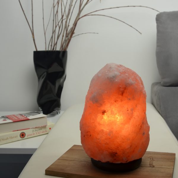 Lampe en Cristal de Sel d'Himalaya de 4 à 6 kg – Image 8