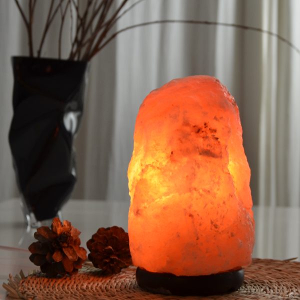 Lampe en Cristal de Sel d'Himalaya de 4 à 6 kg – Image 3