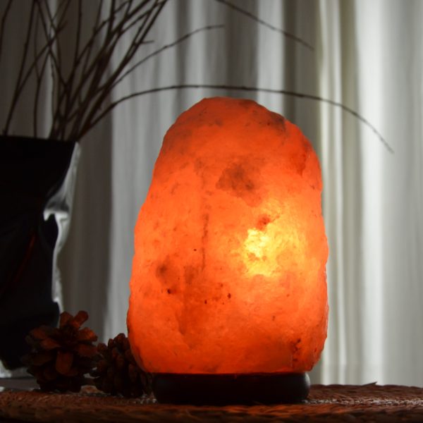 Lampe en Cristal de Sel d'Himalaya de 4 à 6 kg – Image 4