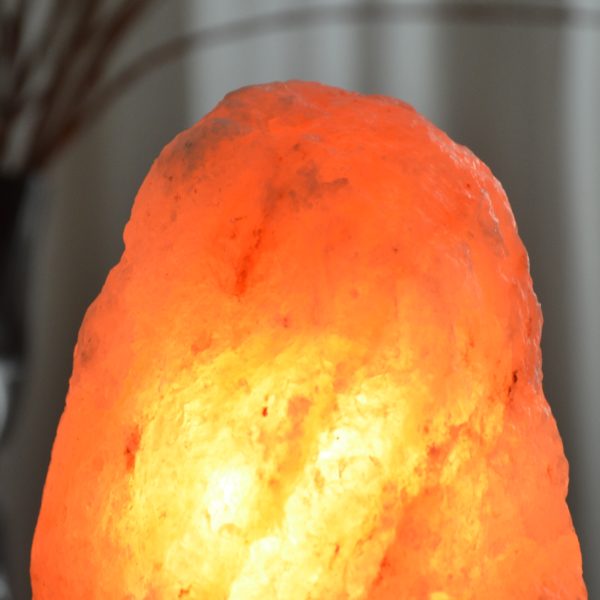 Lampe en Cristal de Sel d'Himalaya de 4 à 6 kg – Image 5