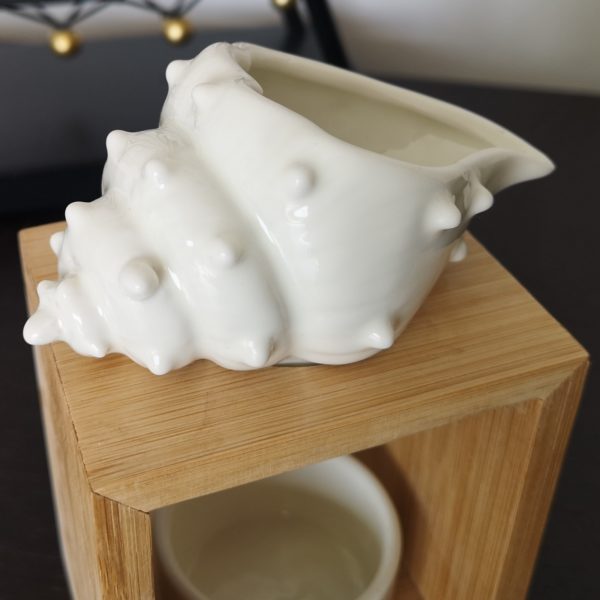 Shell – Image 3